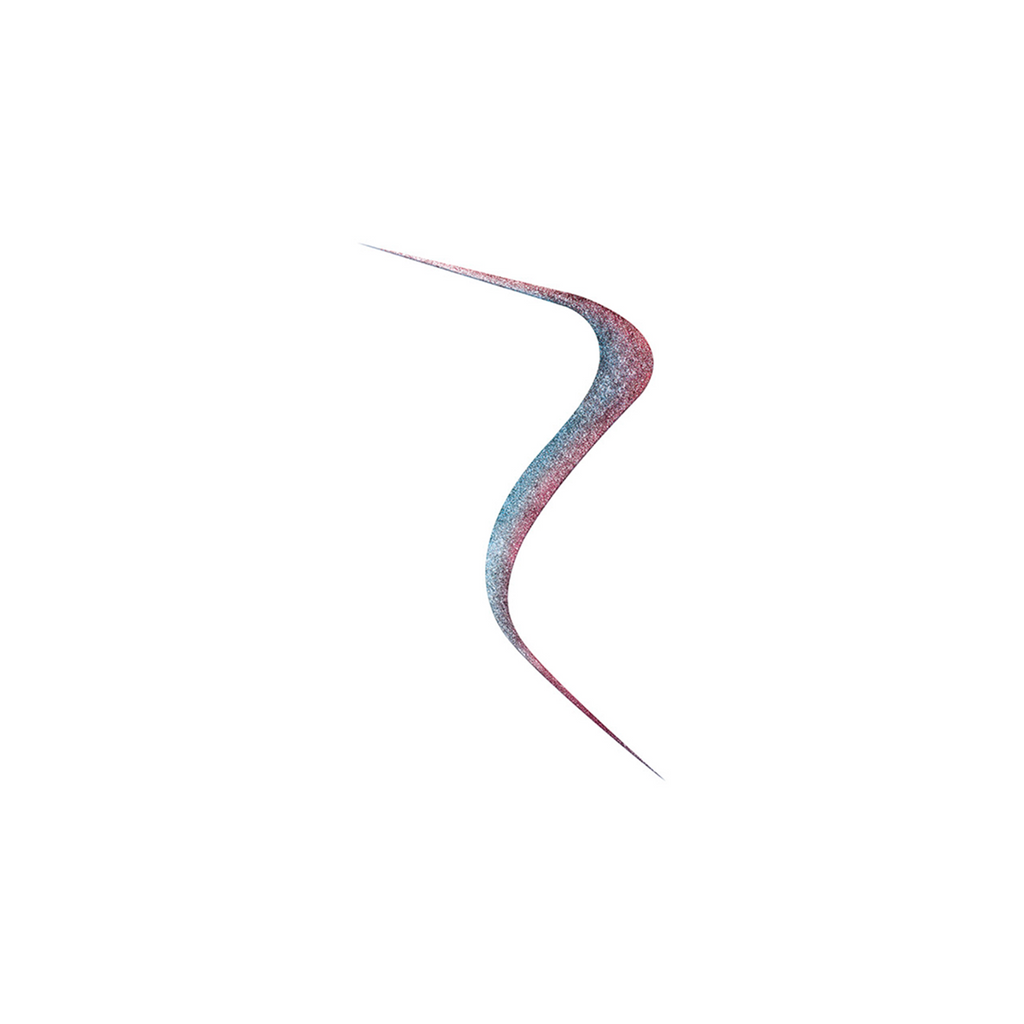 12 -  Striking Chameleon